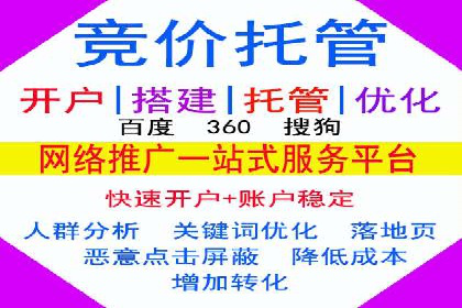 百度竞价排名机制：成功案例与策略探讨